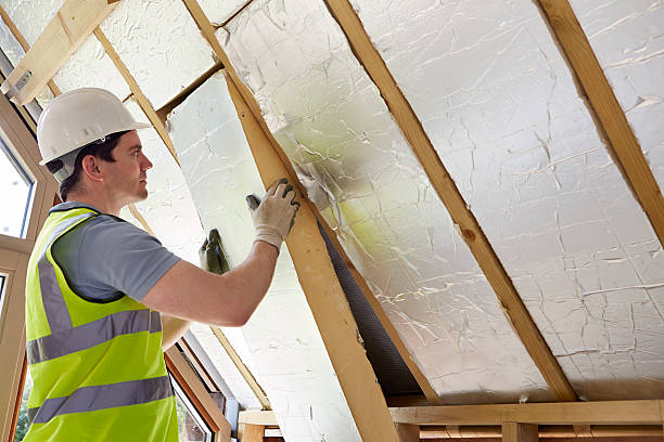 Best Insulation Installation Services in George, IA